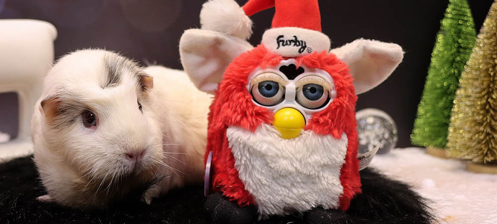 furby boom app 2022